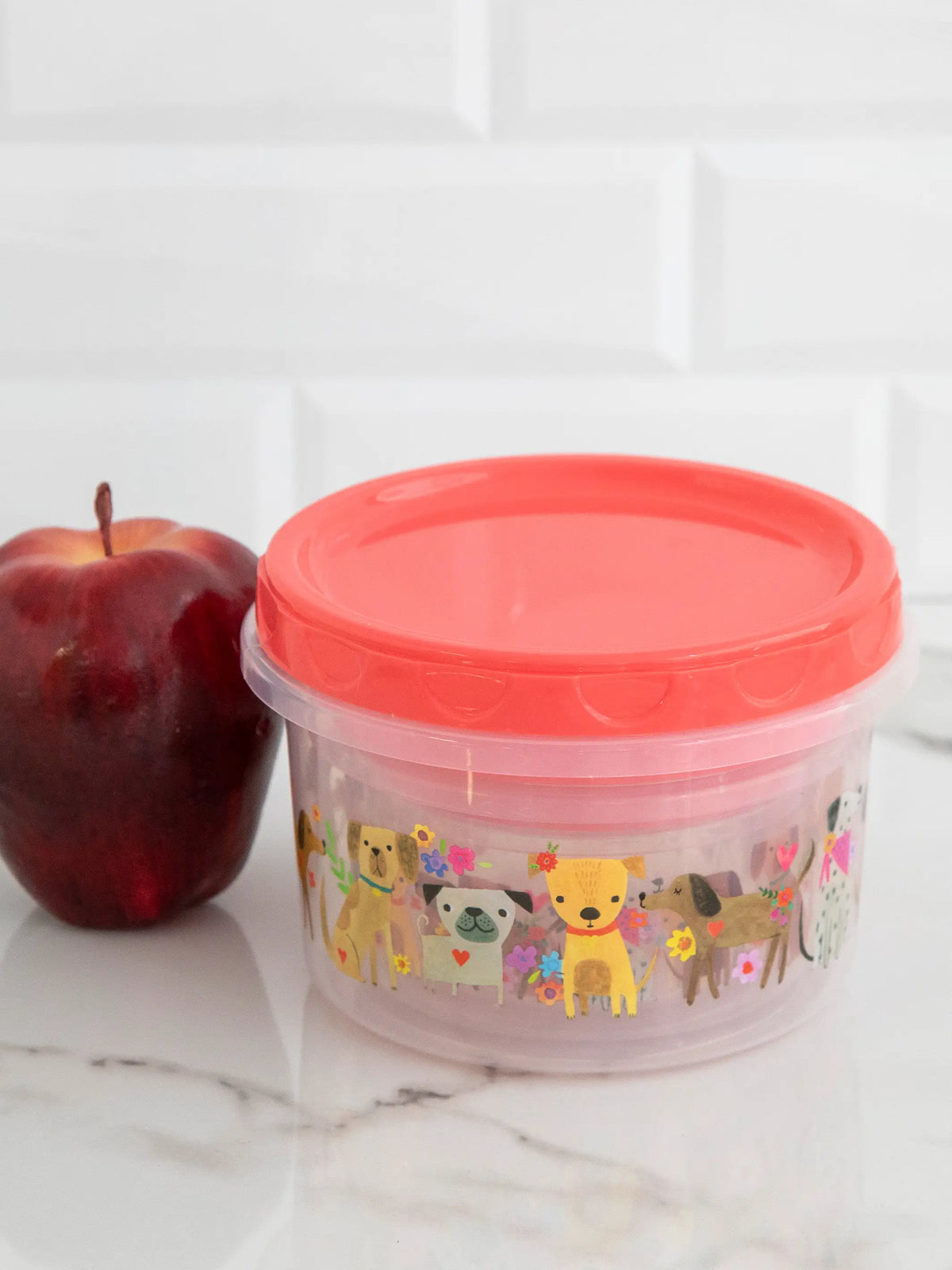 Storage Containers. Set of 3 - Dog